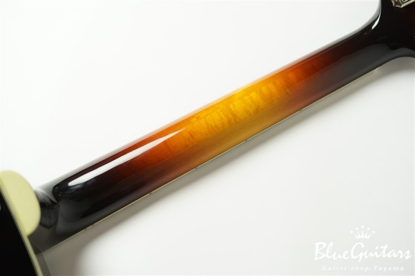 AR-175CE - Sunburst