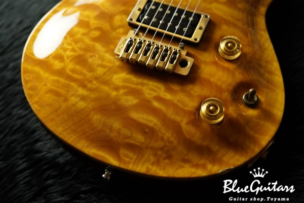 Berlin Pro 24F w/ Trem - Trans Amber