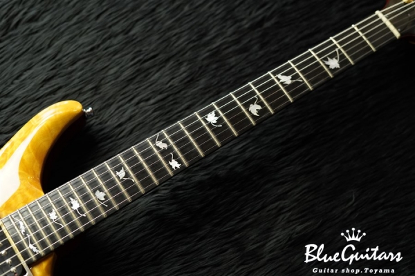 Berlin Pro 24F w/ Trem - Trans Amber