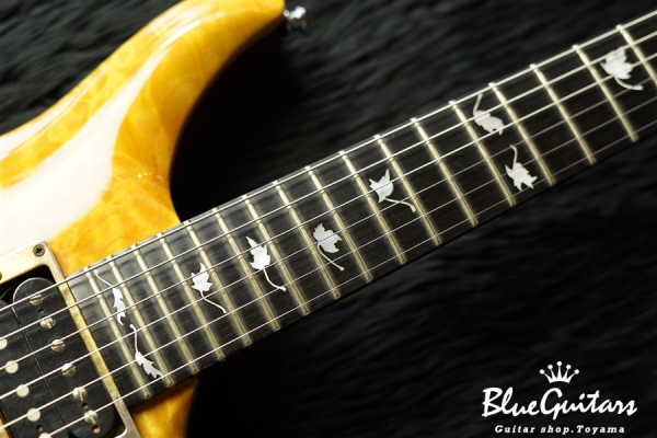 Berlin Pro 24F w/ Trem - Trans Amber