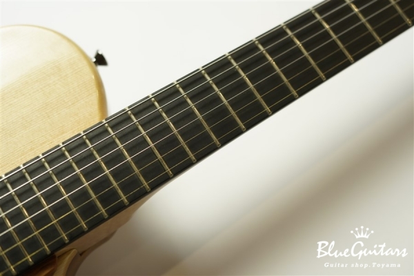 Arcus Thinbody Archtop - Nature