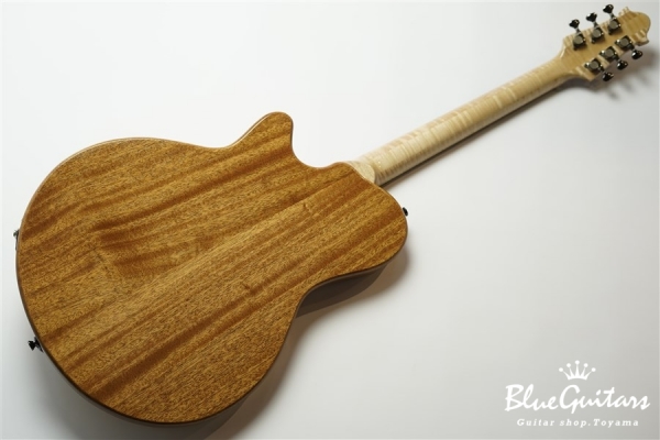 Arcus Thinbody Archtop - Nature