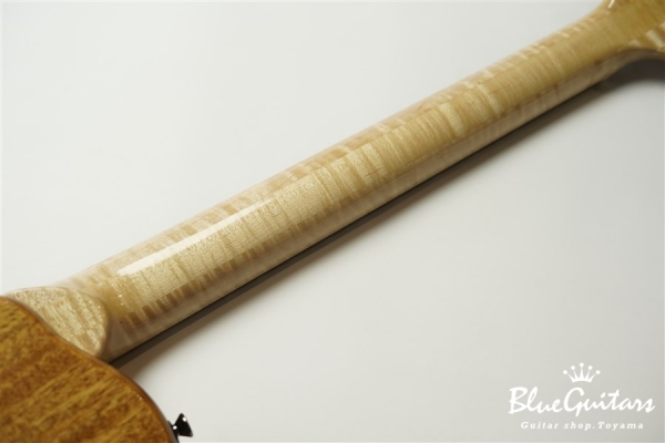 Arcus Thinbody Archtop - Nature