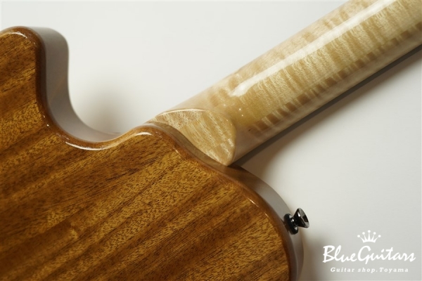 Arcus Thinbody Archtop - Nature