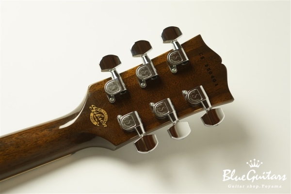 Larry Carlton ES-335