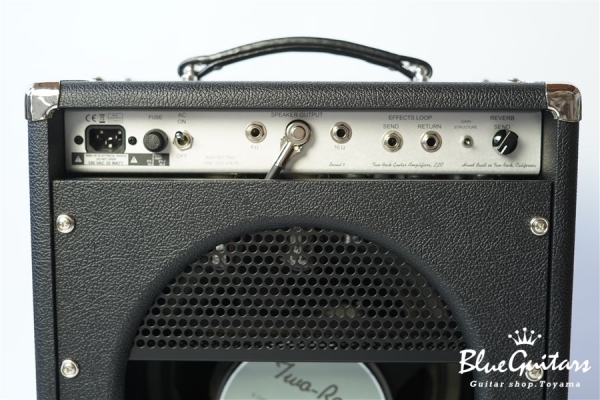 Studio Signature 35W Combo