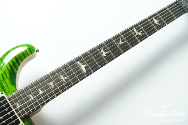 35th Anniversary Custom 24 - Emerald
