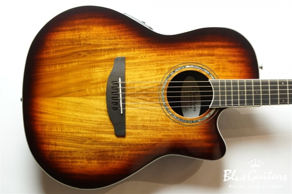 The Celebrity CS28P - KOA-BURST