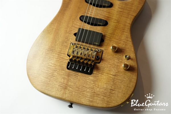 Reb Beach Model / Curly Koa body & Pau Ferro Neck