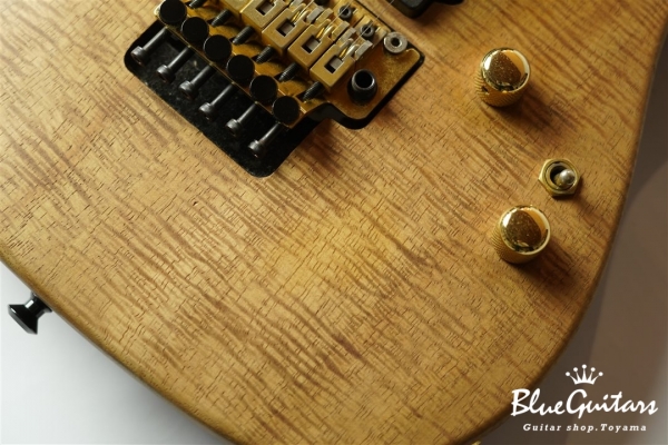Reb Beach Model / Curly Koa body & Pau Ferro Neck