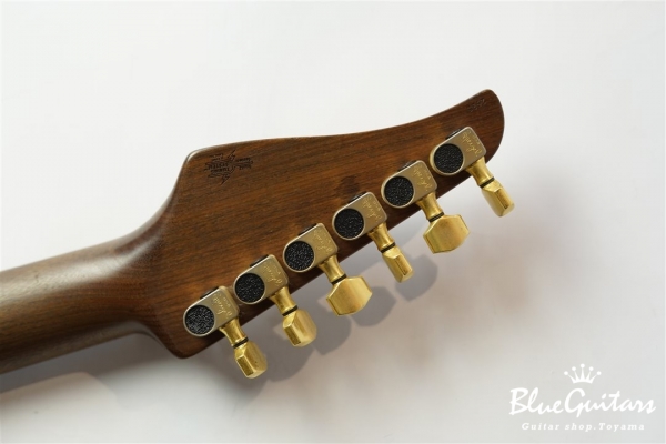 Reb Beach Model / Curly Koa body & Pau Ferro Neck