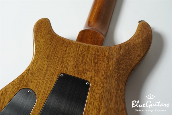 CUSTOM 24 - Trampas Green