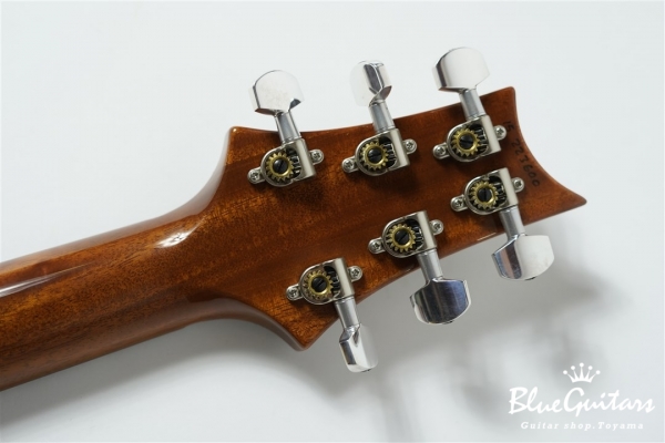 CUSTOM 24 - Trampas Green