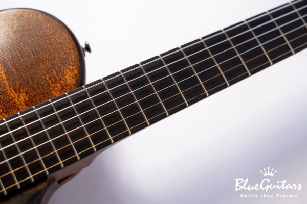 Arcus Thinbody Archtop - Organic Texture