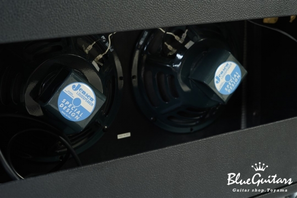 Custom Vibrolux Reverb