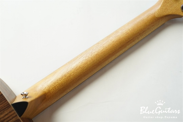 GS Mini-e Rosewood