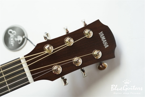 CSF-TA - Vintage Natural