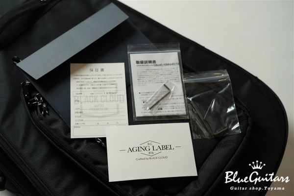 Aging Label BETA J5 - Sonic Blue Over 3TS #037
