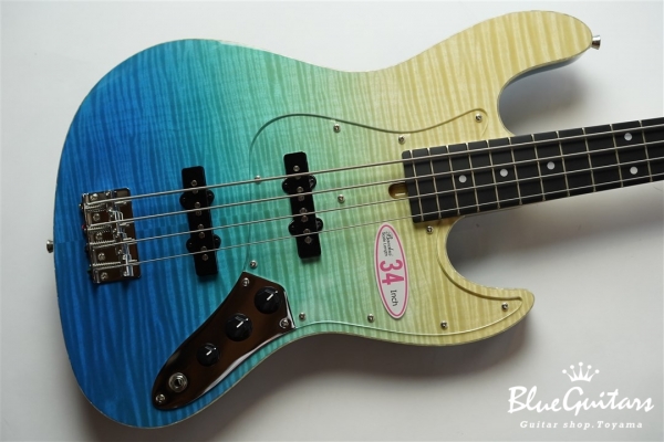 WL-434S FM-ALD - BLU-GRD