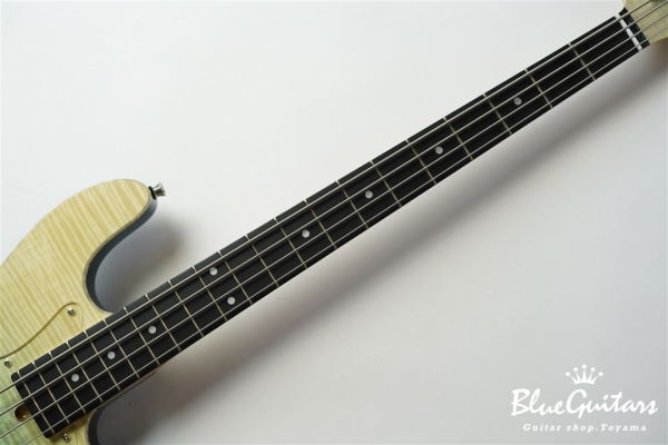 WL-434S FM-ALD - BLU-GRD