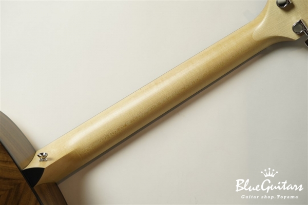 110e -Walnut ES2 2017