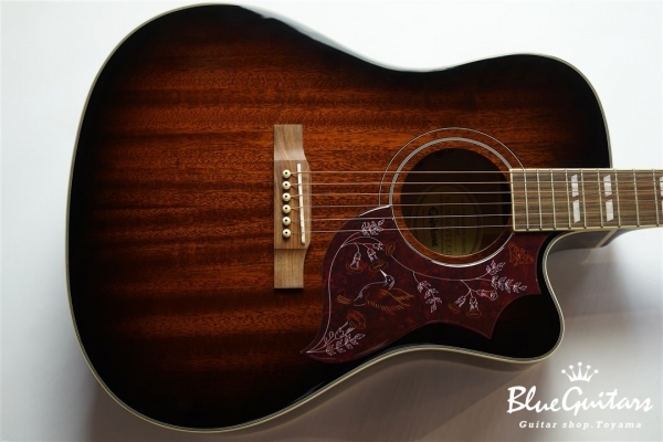 Hummingbird Pro Cutaway