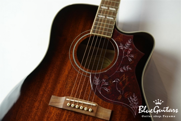 Hummingbird Pro Cutaway