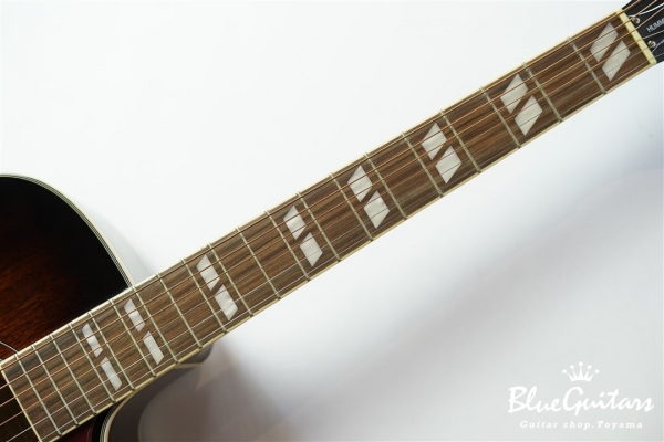 Hummingbird Pro Cutaway