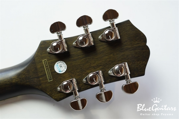 Hummingbird Pro Cutaway