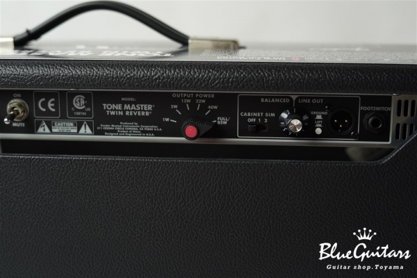 Tone Master Twin Reverb