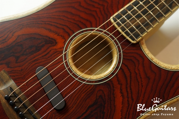 American Acoustasonic Stratocaster Cocobolo