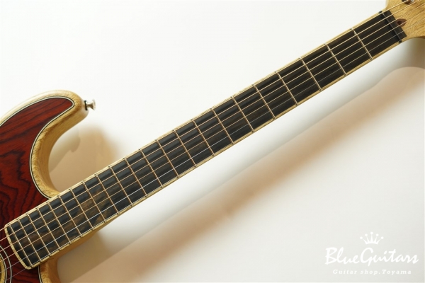 American Acoustasonic Stratocaster Cocobolo