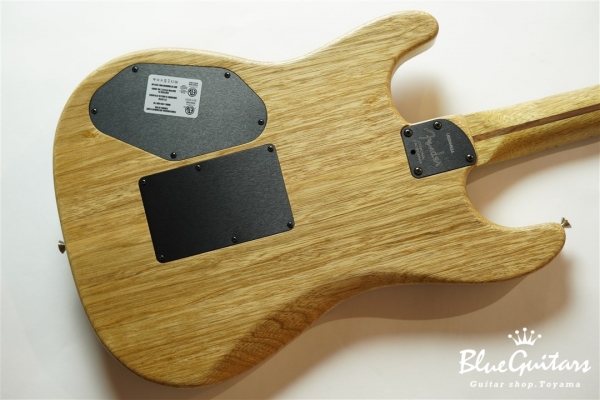 American Acoustasonic Stratocaster Cocobolo