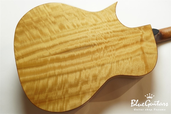 HGAF-5100SE/FMY-C - NA