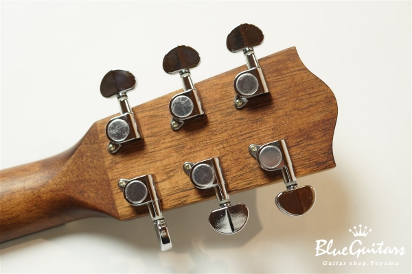 HGAF-5100SE/FMY-C - NA