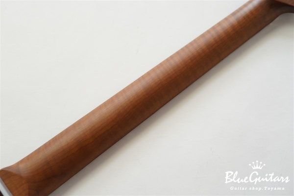 BSH-800 ASH/RSM