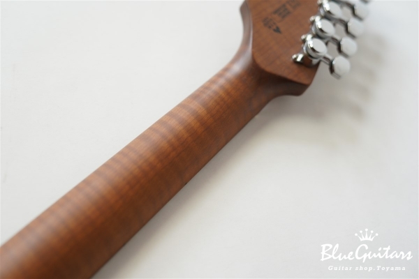 BSH-800 ASH/RSM