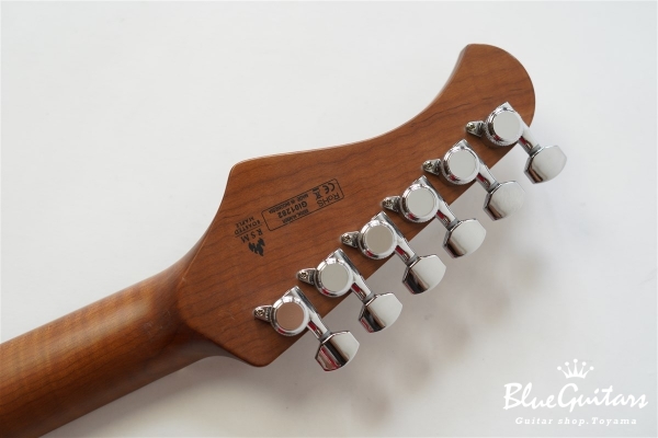 BSH-800 ASH/RSM