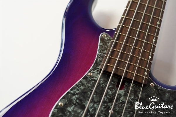 Vibe Standard-5 19 pitch #116 - Eggplant Burst