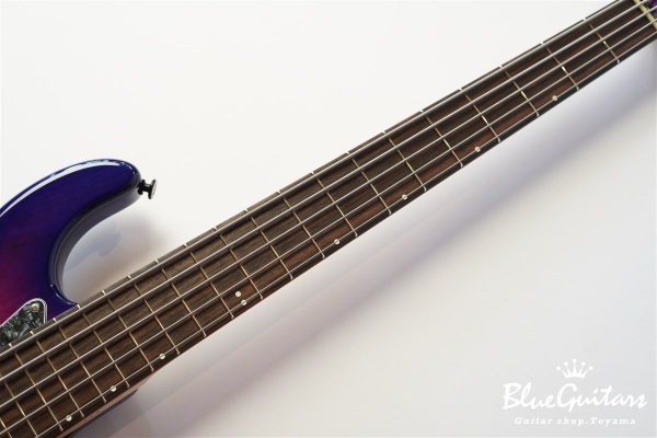 Vibe Standard-5 19 pitch #116 - Eggplant Burst