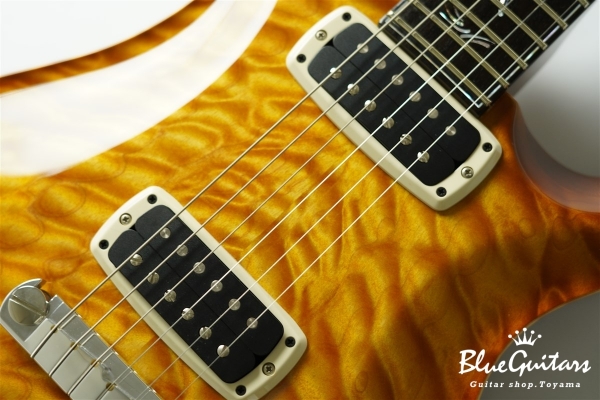 Private Stock Paul’s Graphite Guitar #5537 - Honey Gold Smoked Burst