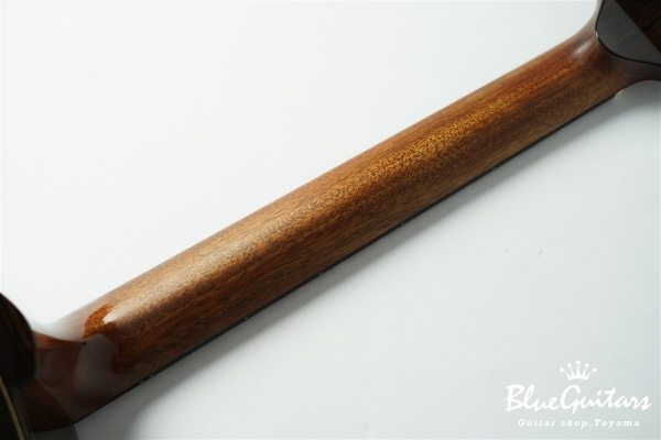 D Caucasian Spruce/Indian Rosewood