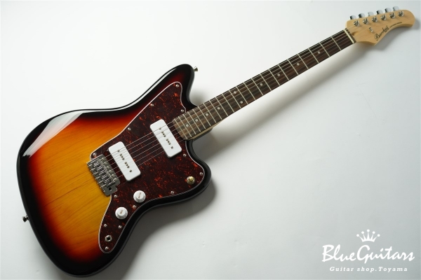 BJM-1R - 3TS