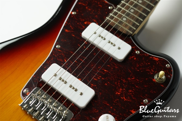 BJM-1R - 3TS