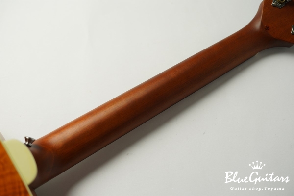 D-240E Flamed Mahogany