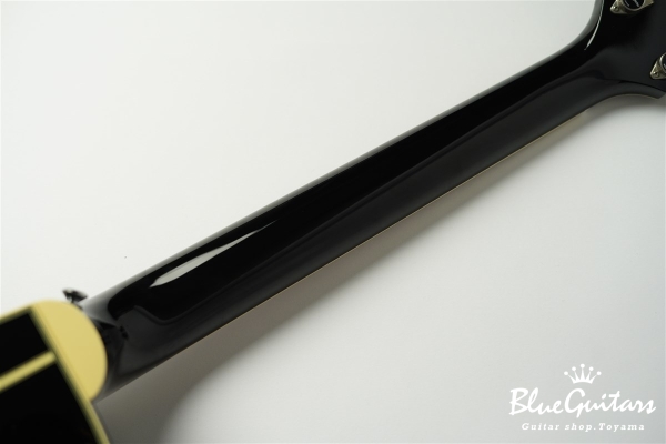 TDP861C - BL (gloss)