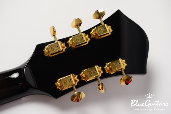 Ladybug SM-TBC HB - Vintage Sunburst #RZ0543