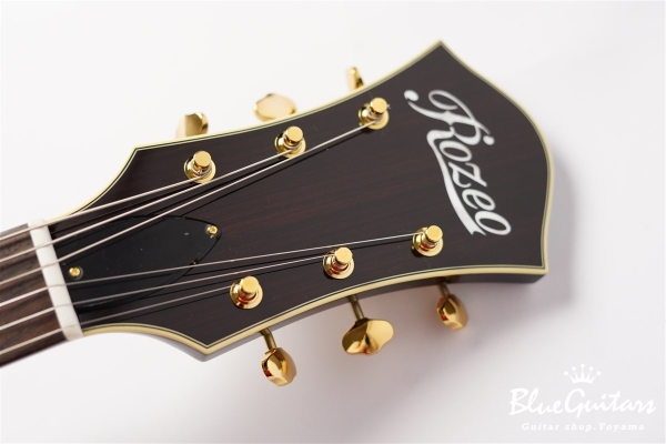 Ladybug SM-C - Vintage Sunburst #RZ0531