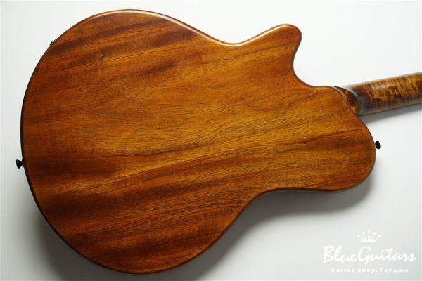 Arcus Thinbody Archtop - Organic Texture