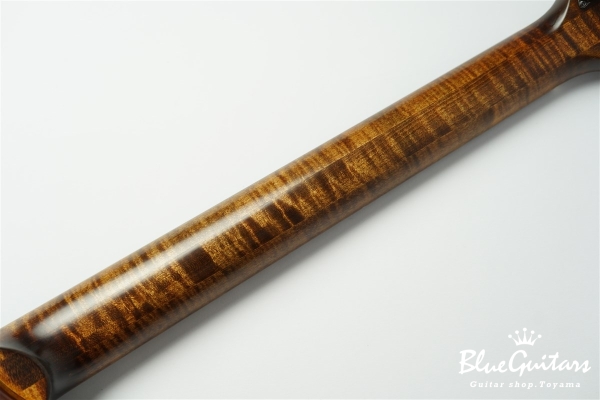 Arcus Thinbody Archtop - Organic Texture